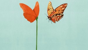 unknown-4